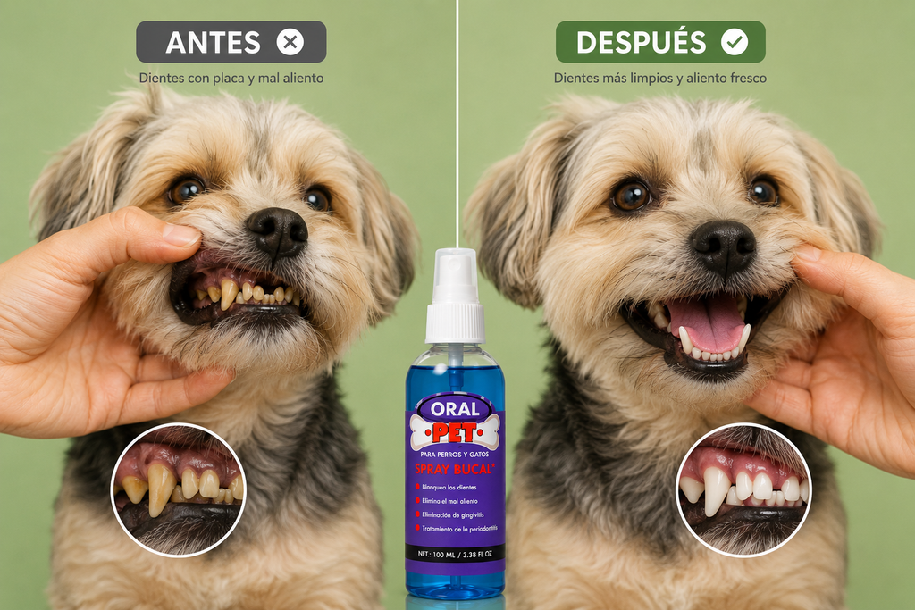 Spray Bucal  OralPet™️